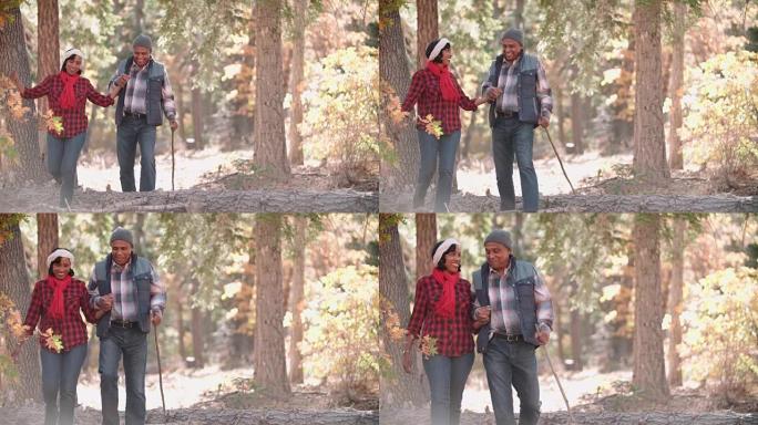 森林中的高级夫妇步行到相机，在框架左侧