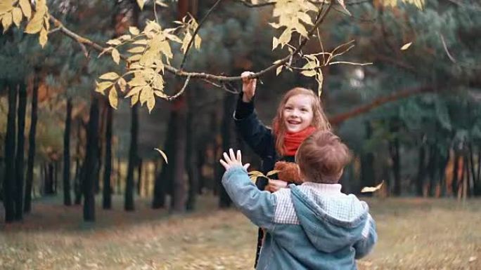 有趣的小女孩摇摇树枝，黄色的秋叶从树枝上掉下来，她的弟弟试图让她如何