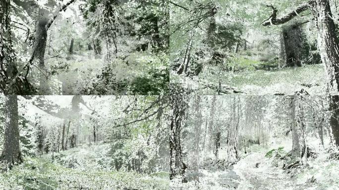 无限缩放穿过山林，散焦选择性感知。白色背景