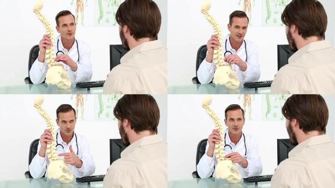 医生展示他的脊椎病人模型