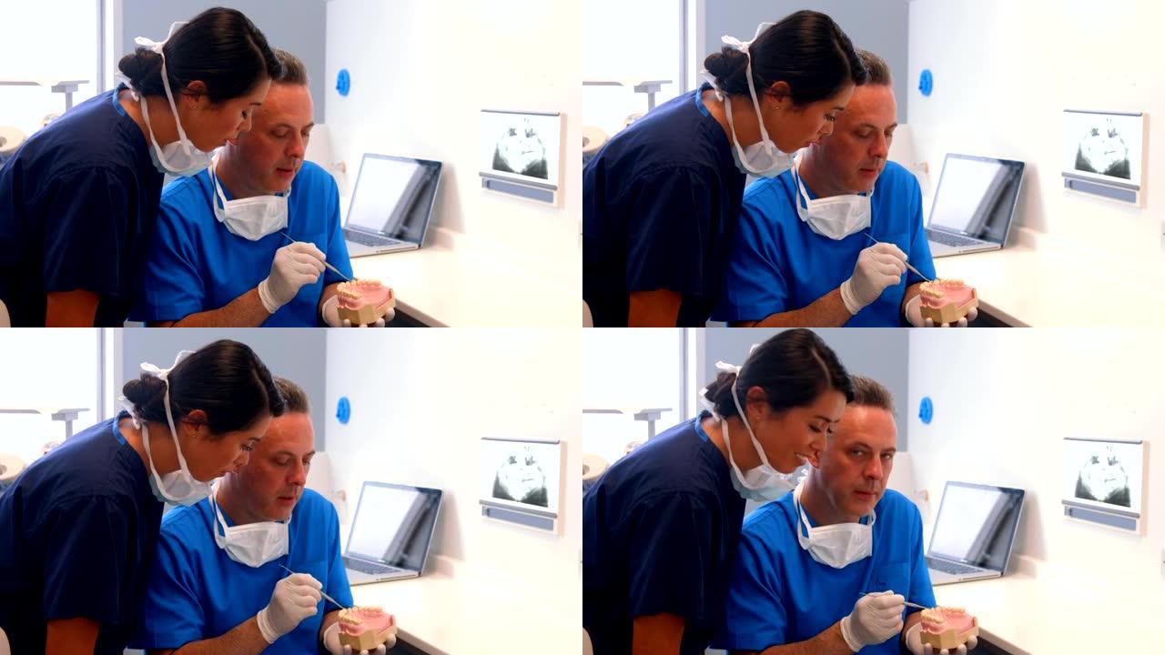牙医和同事检查模型牙齿