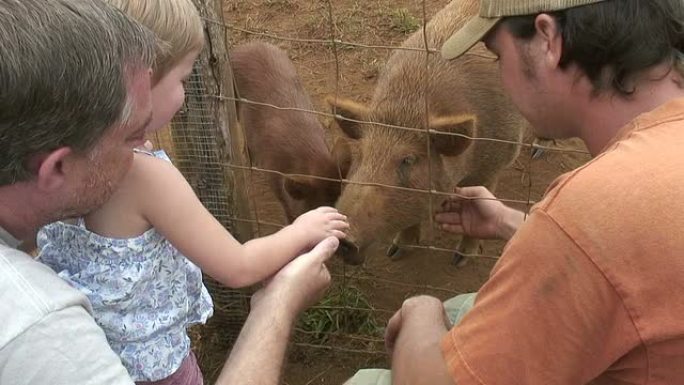 （HD1080i）幼儿、儿童和家人喜欢猪