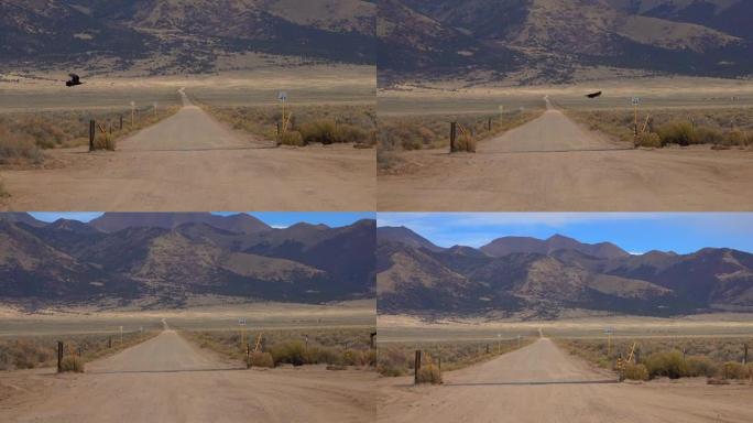 缩放效果视点: 沿着一条直直的土路驶向美国科罗拉多落基山脉