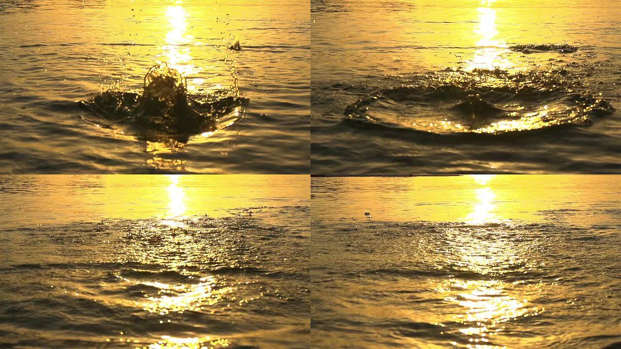 慢动作: 日落时在水中扔石头