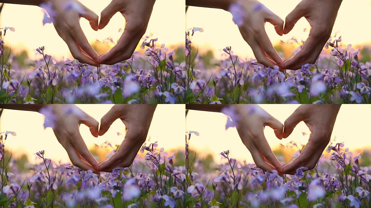 情侣双手与花朵形成心形