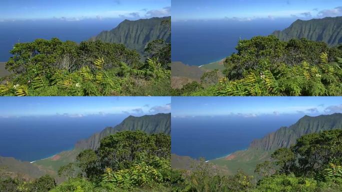 俯瞰火山山谷和蓝色海洋的高山山顶茂密的植被