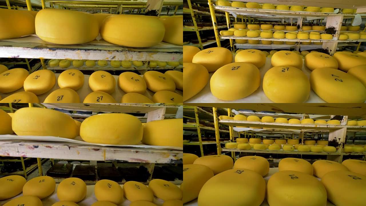 奶制品厂的奶酪储存。