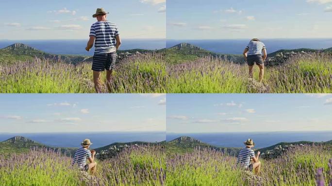 WS慢动作人在薰衣草中吹拂，在阳光明媚的山顶上，风景秀丽，克罗地亚赫瓦尔