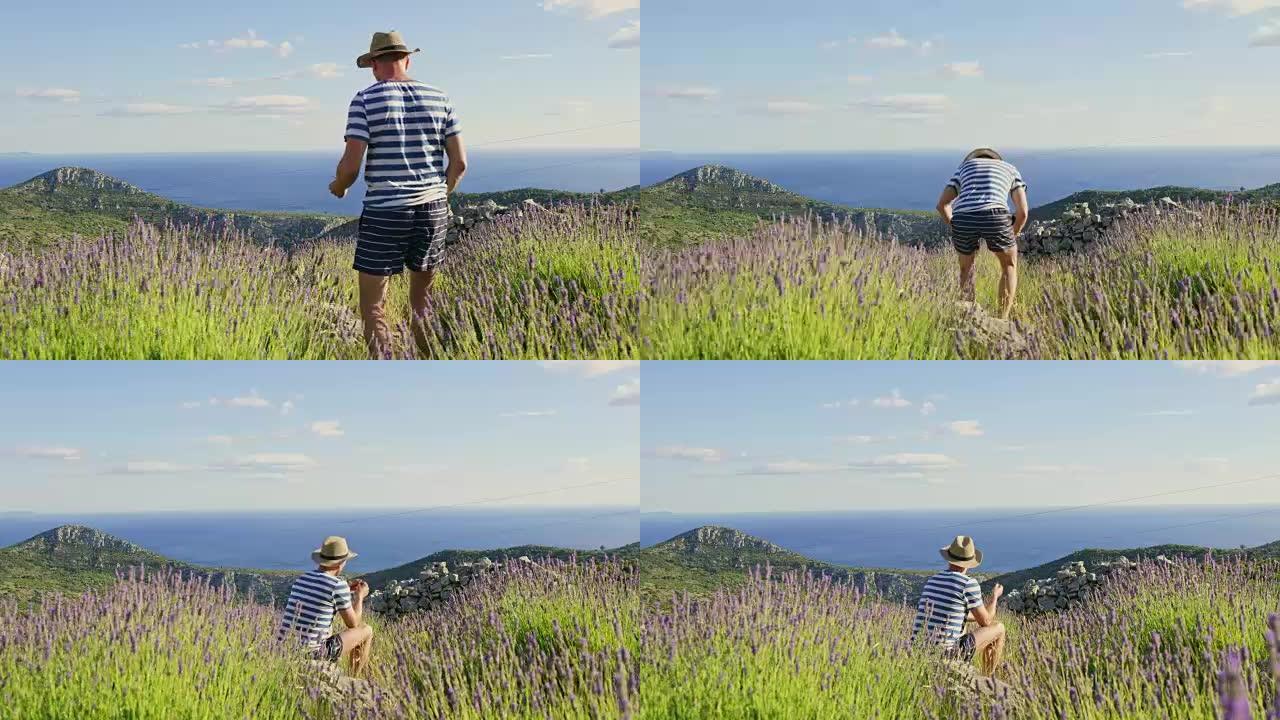 WS慢动作人在薰衣草中吹拂，在阳光明媚的山顶上，风景秀丽，克罗地亚赫瓦尔