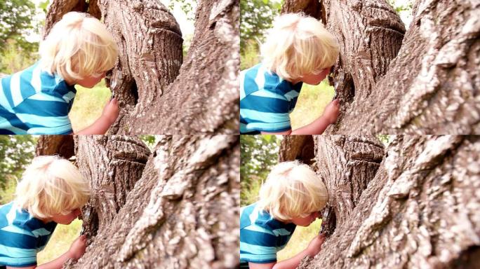 用放大镜研究树干的男孩