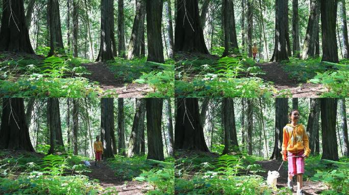 徒步旅行者带着小狗穿过森林