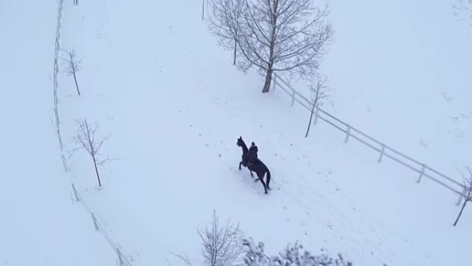 空中: 年轻女子在冬季仙境骑马骑马