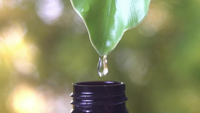 4k，许多水滴从绿叶到带有自然绿色背景的瓶子。