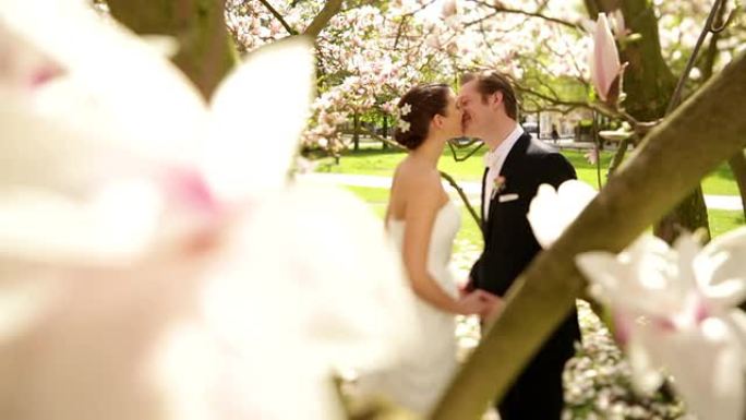 婚礼情侣在木兰树下接吻