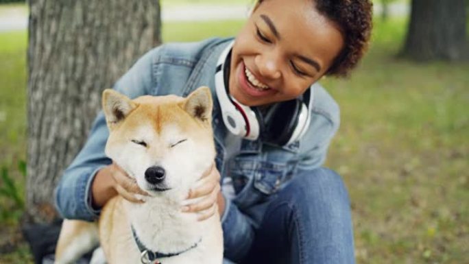 夏日绿色草坪公园里微笑的非洲裔美国女士爱抚可爱的柴犬的慢动作。动物正在享受爱和关怀。