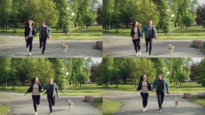 年轻的已婚夫妇在公园里跑步的慢动作，小狗享受自由和活动，周围有美丽的绿树和草丛。
