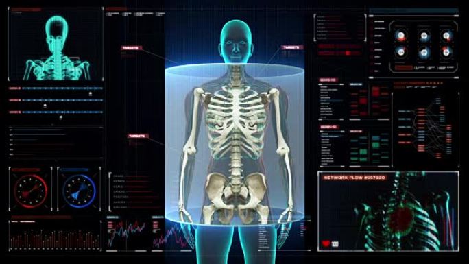 放大女性扫描人体骨骼结构，数字显示骨骼。