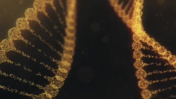 两个旋转神经丛DNA链，脉冲贯穿-金色橙色版本