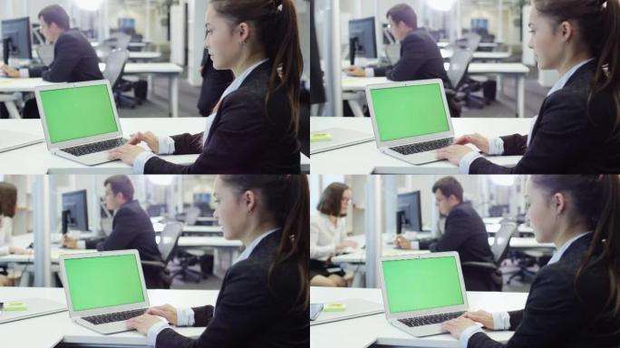 女上班族使用绿屏笔记本。非常适合使用模型。