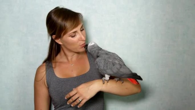特写: 非洲灰鹦鹉坐在女孩的手上亲吻她的肖像