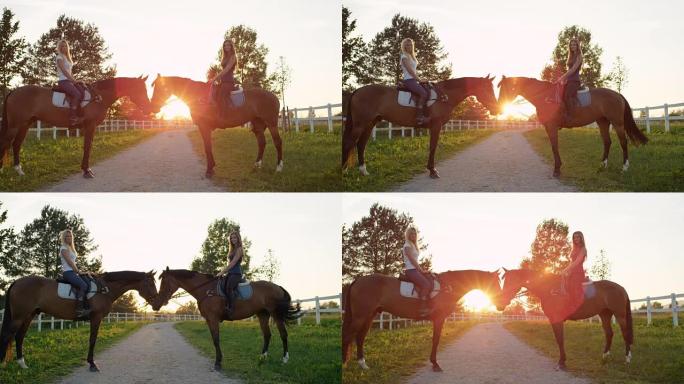 慢动作: 两匹马与漂亮的女骑手在日落时彼此面对