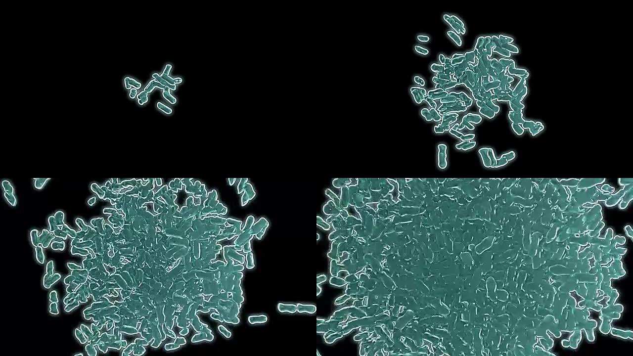 细菌的克隆，3d动画