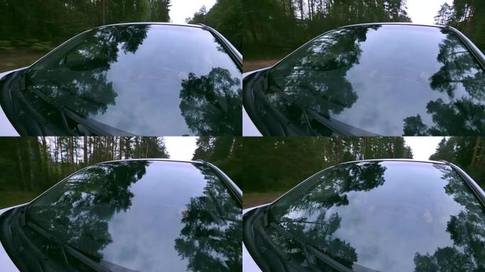 挡风玻璃上的反射。汽车驶过森林。车载摄像机