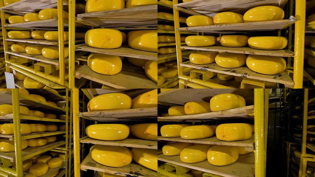 奶制品厂的奶酪仓库。