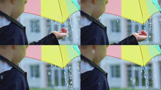带雨伞的男孩捕捉雨滴