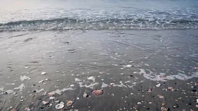 带着许多贝壳向下移动到海边