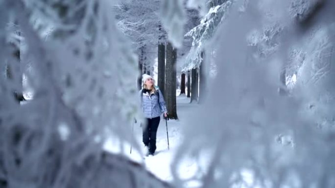Beautiful female hiker walking in winter forest