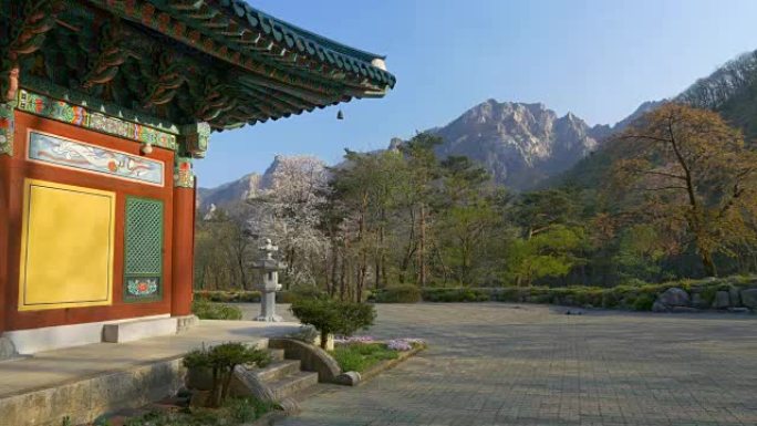 韩国Seoraksan国家公园的春天