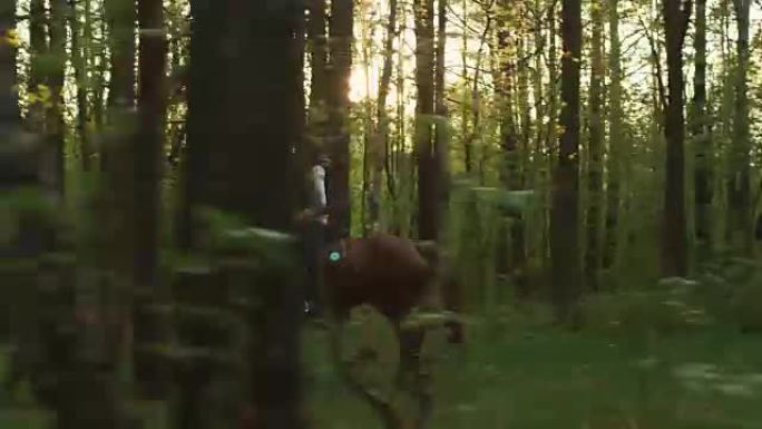 两个年轻女孩在森林里骑马
