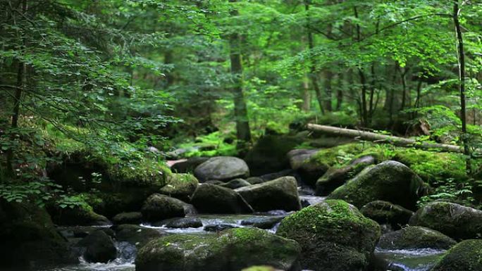 森林中的岩石溪流
