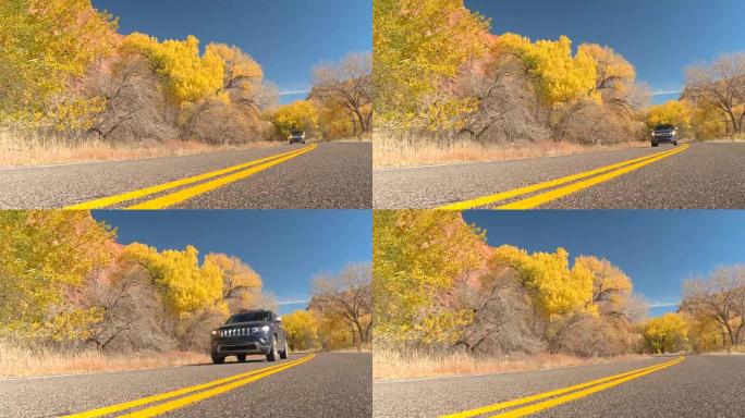 黑色越野车吉普车过去黄色转弯的树叶树在灿烂的阳光灿烂的一天