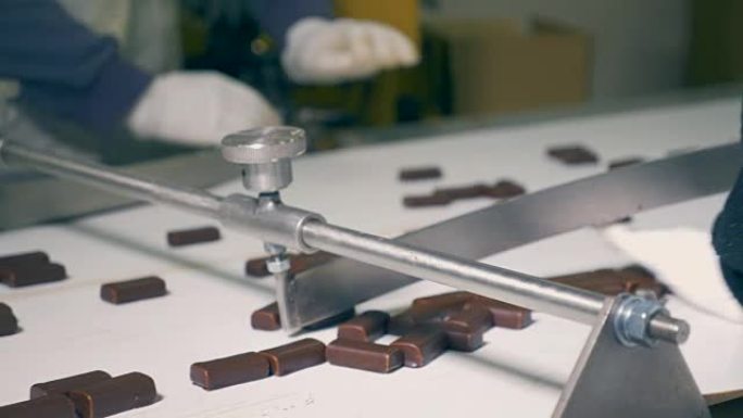 工厂工人用手分类巧克力糖果的特写