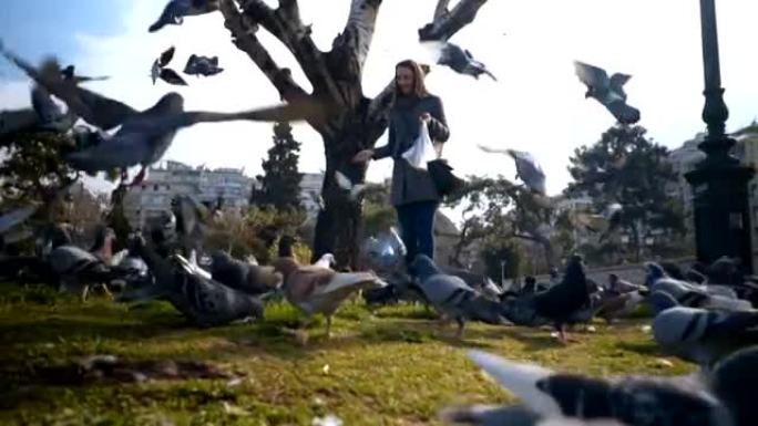 女游客在公园里喂鸽子
