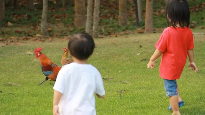 HD小女孩走在田野里。