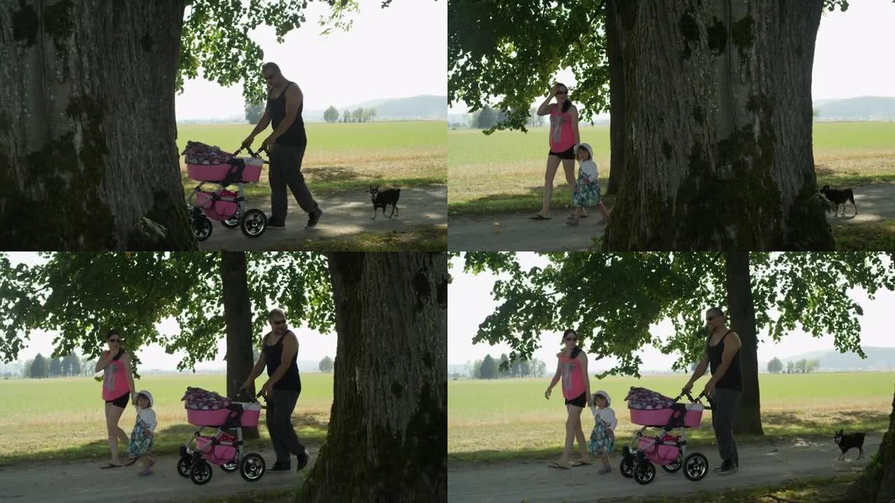 慢动作可爱的年轻四口之家带着他们的狗去阳光明媚的公园散步