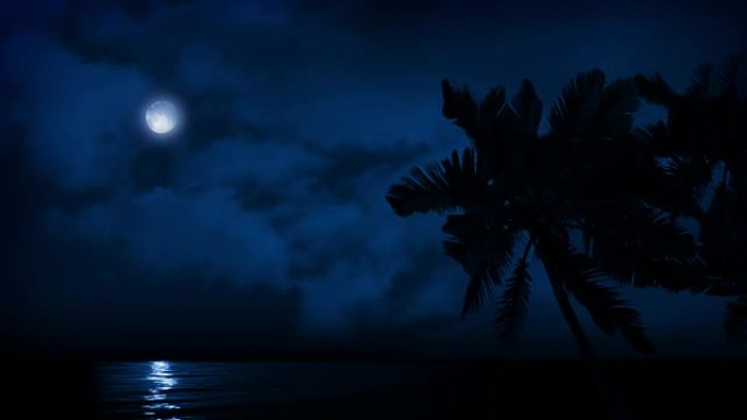 晚上海边的棕榈树