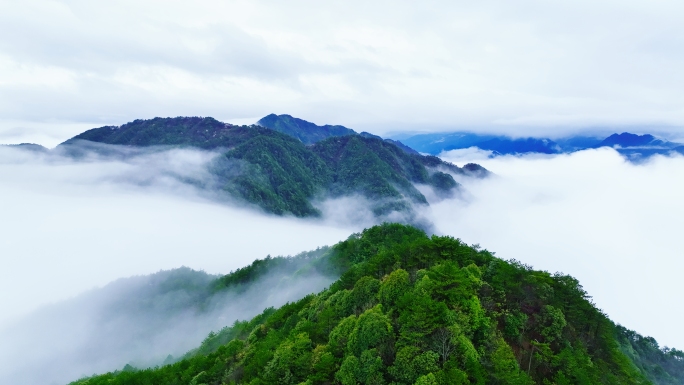 武夷山国家级自然保护区云海合集