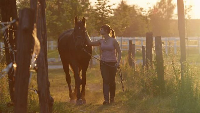 慢动作: 年轻女子牵着马，在日落时抚摸着他
