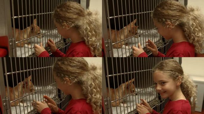 小女孩在兽医的笼子里看着狗