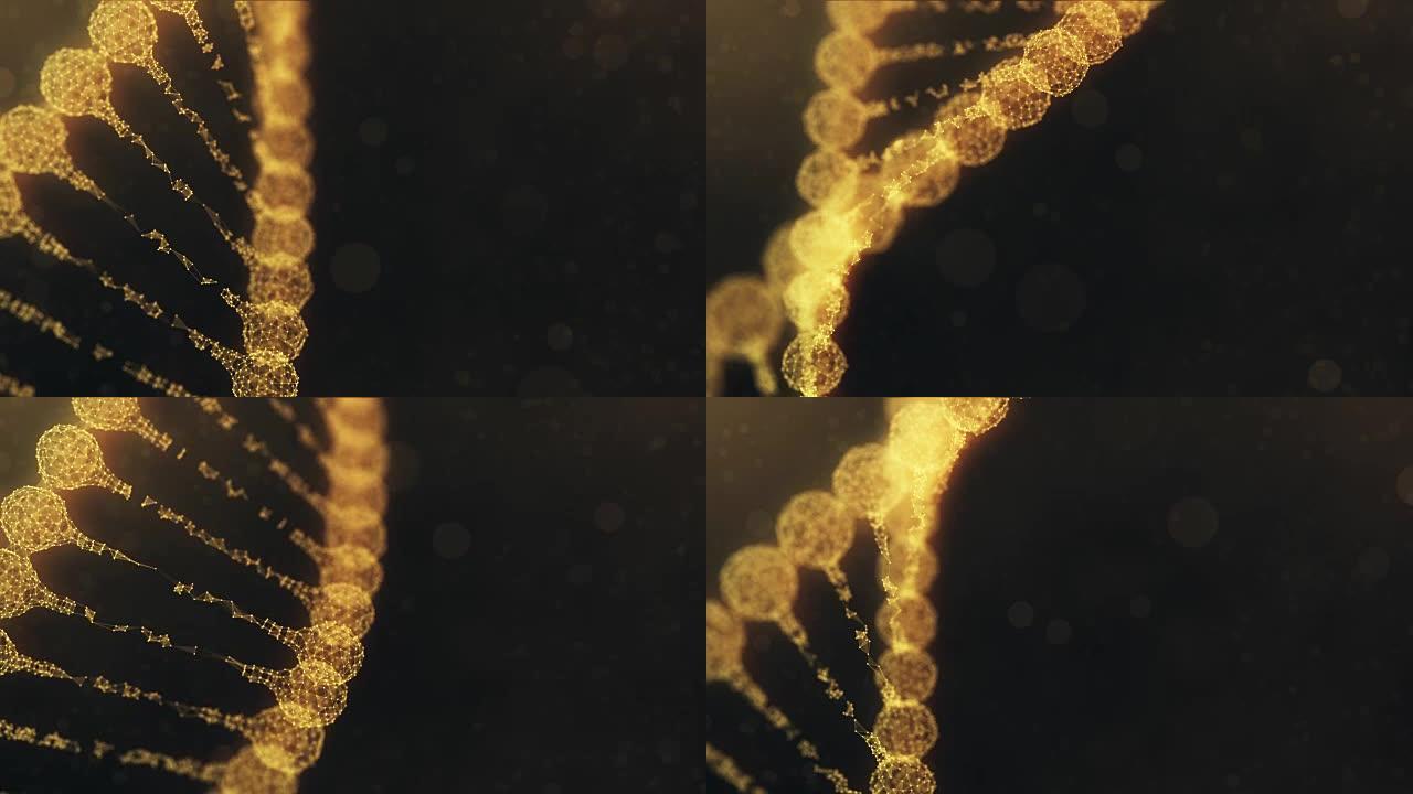 旋转神经丛DNA链-金橙版