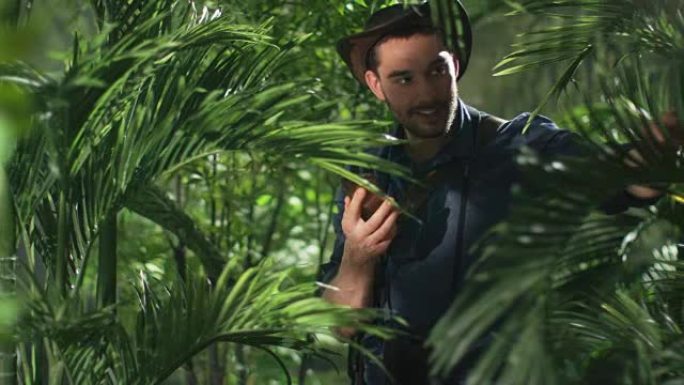 戴帽子的冒险家在丛林森林使用手机。