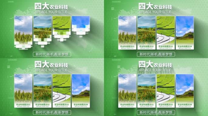【4】四大农业图文分类AE模板