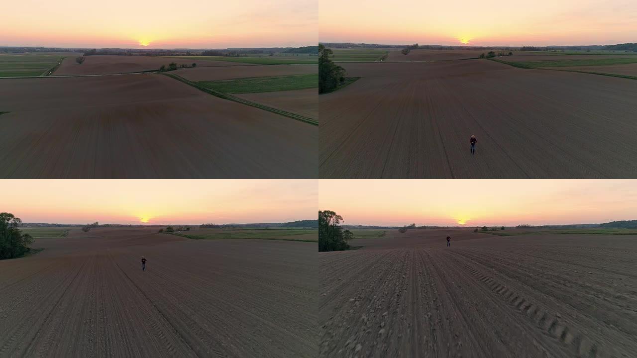 WS鸟瞰图农民在日落时在田园诗般的农村耕地中撒播种子。