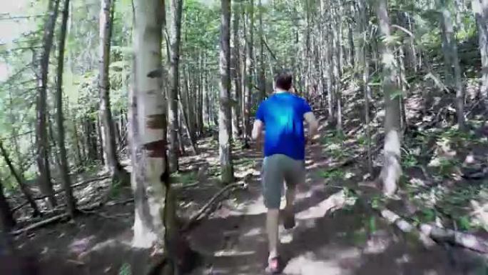 男子在阳光明媚的日子在森林里奔跑4k