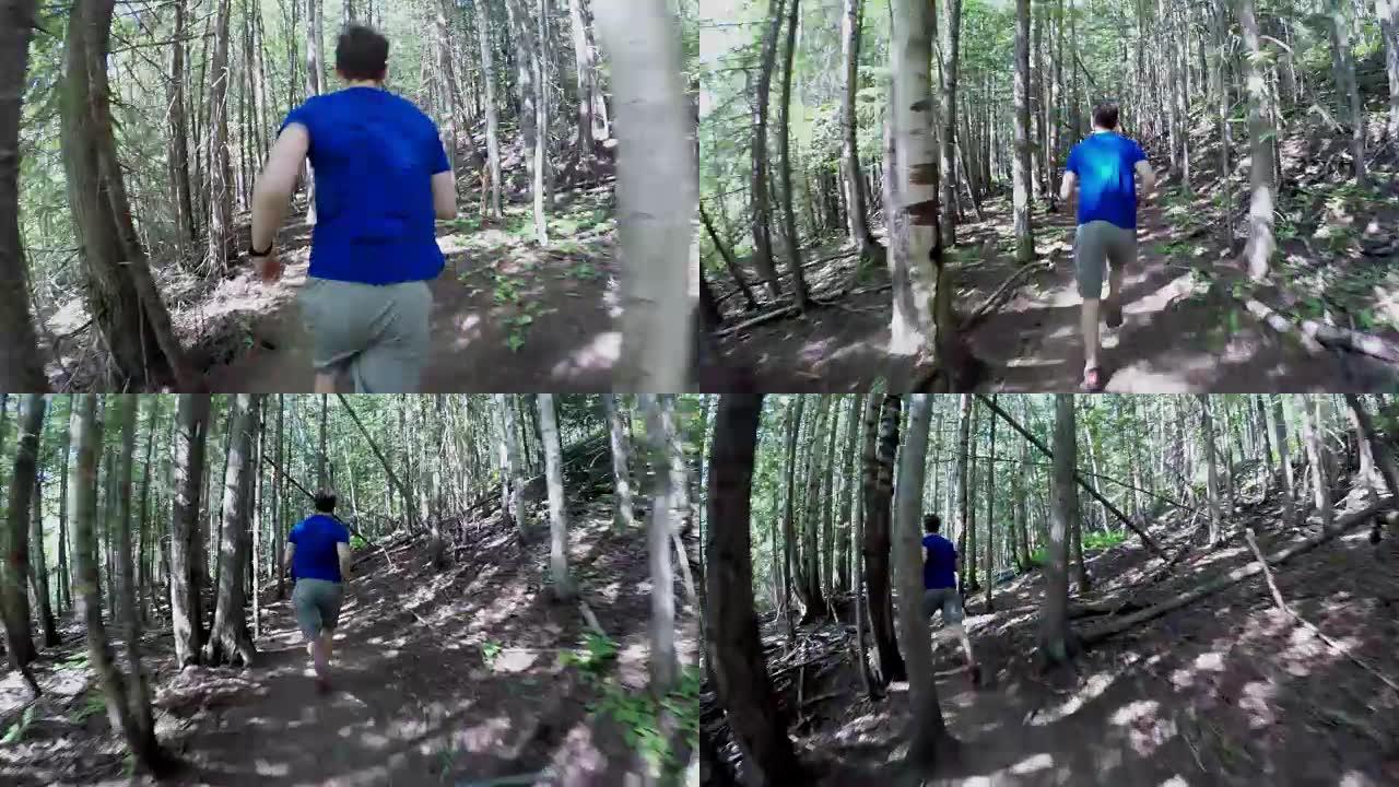 男子在阳光明媚的日子在森林里奔跑4k