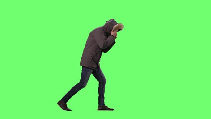 穿着冬季夹克的男人，戴着兜帽，在寒冷的天气和强风中行走。在模拟绿屏背景上拍摄。